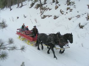Sleigh Bells on Andy's Trail Rides