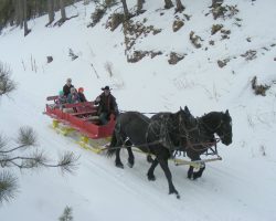 Sleigh Bells on Andy's Trail Rides